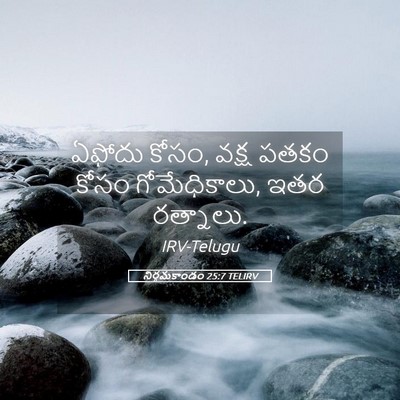Picture 05 - నిర్గమకాండం 25:7 TELIRV - ఏఫోదు కోసం, వక్ష - Bible Verse Picture