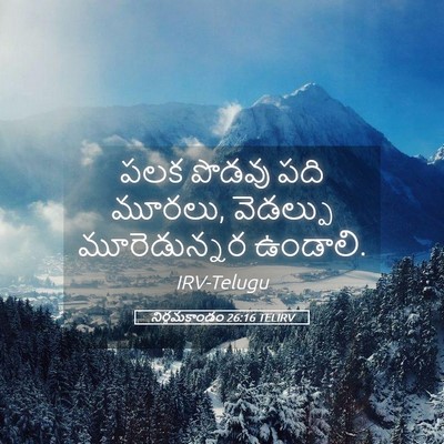 Picture 05 - నిర్గమకాండం 26:16 TELIRV - పలక పొడవు పది - Bible Verse Picture