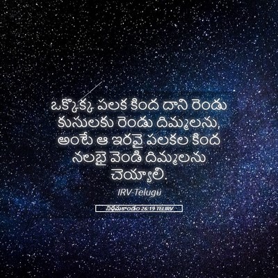 Picture 05 - నిర్గమకాండం 26:19 TELIRV - ఒక్కొక్క పలక కింద - Bible Verse Picture