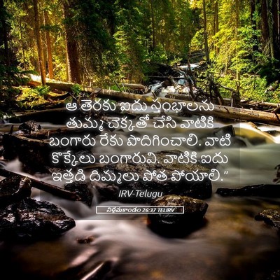 Picture 05 - నిర్గమకాండం 26:37 TELIRV - ఆ తెరకు ఐదు - Bible Verse Picture
