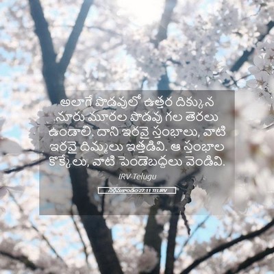 Picture 05 - నిర్గమకాండం 27:11 TELIRV - అలాగే పొడవులో - Bible Verse Picture