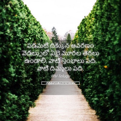 Picture 05 - నిర్గమకాండం 27:12 TELIRV - పడమటి దిక్కున - Bible Verse Picture