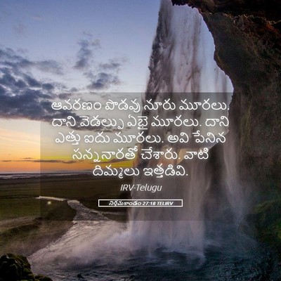 Picture 05 - నిర్గమకాండం 27:18 TELIRV - ఆవరణం పొడవు నూరు - Bible Verse Picture