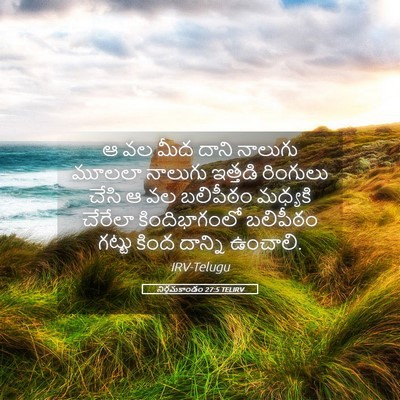 Picture 05 - నిర్గమకాండం 27:5 TELIRV - ఆ వల మీద దాని - Bible Verse Picture