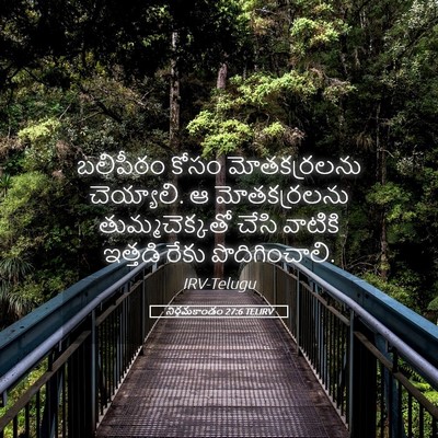 Picture 05 - నిర్గమకాండం 27:6 TELIRV - బలిపీఠం కోసం - Bible Verse Picture