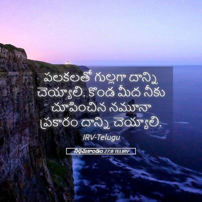 Picture 05 - నిర్గమకాండం 27:8 TELIRV - పలకలతో గుల్లగా - Bible Verse Picture