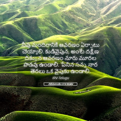 Picture 05 - నిర్గమకాండం 27:9 TELIRV - నీవు మందిరానికి - Bible Verse Picture