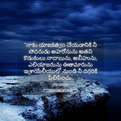 Picture 05 - నిర్గమకాండం 28:1 TELIRV - “నాకు యాజకత్వం - Bible Verse Picture