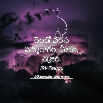 Picture 05 - నిర్గమకాండం 28:18 TELIRV - రెండో వరస - Bible Verse Picture