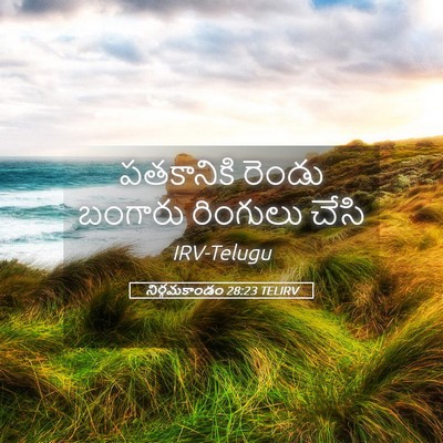 Picture 05 - నిర్గమకాండం 28:23 TELIRV - పతకానికి రెండు - Bible Verse Picture
