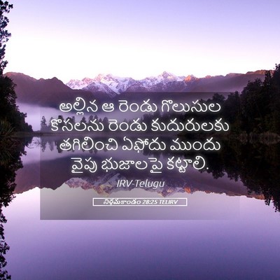 Picture 05 - నిర్గమకాండం 28:25 TELIRV - అల్లిన ఆ రెండు - Bible Verse Picture