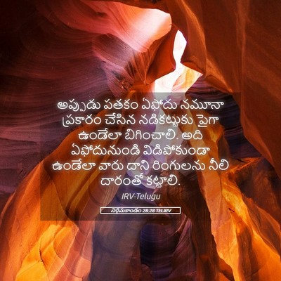 Picture 05 - నిర్గమకాండం 28:28 TELIRV - అప్పుడు పతకం - Bible Verse Picture