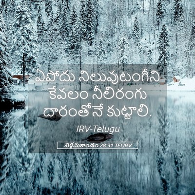 Picture 05 - నిర్గమకాండం 28:31 TELIRV - ఏఫోదు - Bible Verse Picture
