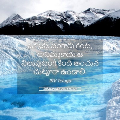 Picture 05 - నిర్గమకాండం 28:34 TELIRV - ఒక్కొక్క బంగారు - Bible Verse Picture