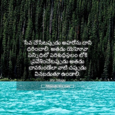 Picture 05 - నిర్గమకాండం 28:35 TELIRV - సేవ చేసేటప్పుడు - Bible Verse Picture