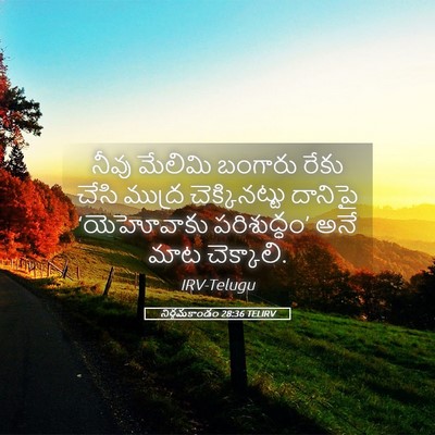 Picture 05 - నిర్గమకాండం 28:36 TELIRV - నీవు మేలిమి - Bible Verse Picture