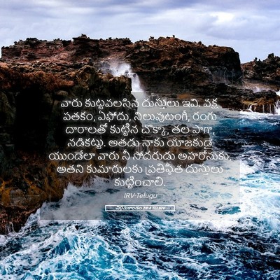 Picture 05 - నిర్గమకాండం 28:4 TELIRV - వారు కుట్టవలసిన - Bible Verse Picture