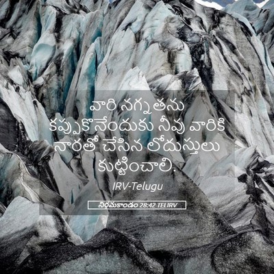 Picture 05 - నిర్గమకాండం 28:42 TELIRV - వారి నగ్నతను - Bible Verse Picture