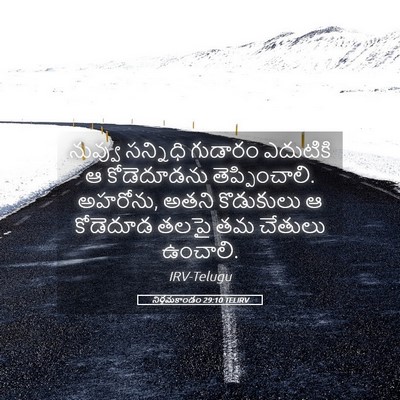 Picture 05 - నిర్గమకాండం 29:10 TELIRV - నువ్వు సన్నిధి - Bible Verse Picture