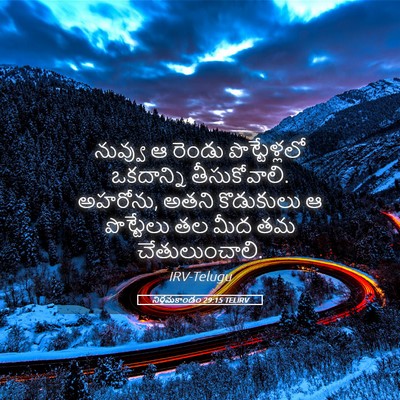 Picture 05 - నిర్గమకాండం 29:15 TELIRV - నువ్వు ఆ రెండు - Bible Verse Picture