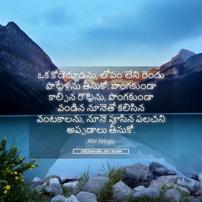 Picture 05 - నిర్గమకాండం 29:2 TELIRV - ఒక కోడెదూడను, లోపం - Bible Verse Picture