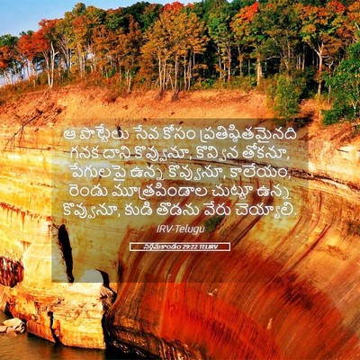 Picture 05 - నిర్గమకాండం 29:22 TELIRV - ఆ పొట్టేలు సేవ - Bible Verse Picture