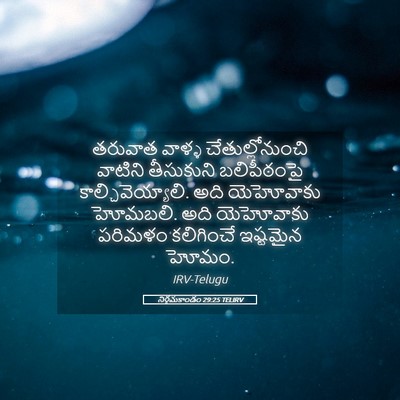 Picture 05 - నిర్గమకాండం 29:25 TELIRV - తరువాత వాళ్ళ - Bible Verse Picture