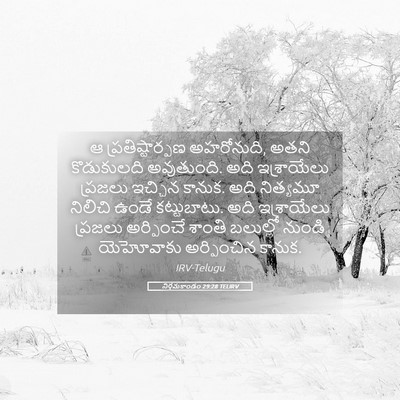 Picture 05 - నిర్గమకాండం 29:28 TELIRV - ఆ ప్రతిష్టార్పణ - Bible Verse Picture
