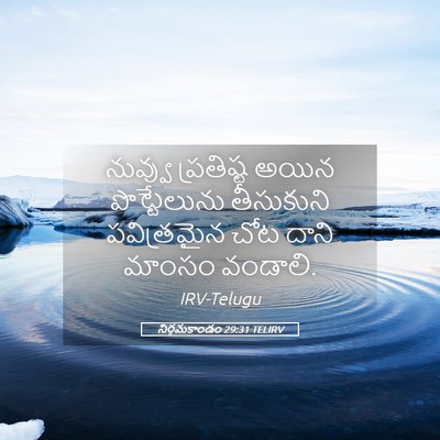 Picture 05 - నిర్గమకాండం 29:31 TELIRV - నువ్వు ప్రతిష్ట - Bible Verse Picture
