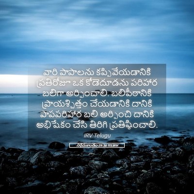 Picture 05 - నిర్గమకాండం 29:36 TELIRV - వారి పాపాలను - Bible Verse Picture