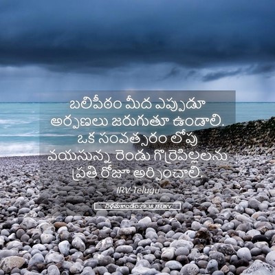 Picture 05 - నిర్గమకాండం 29:38 TELIRV - బలిపీఠం మీద - Bible Verse Picture