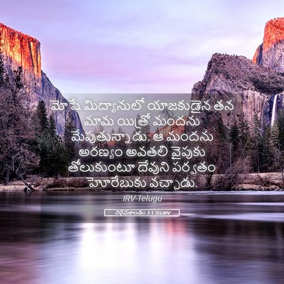 Picture 05 - నిర్గమకాండం 3:1 TELIRV - మోషే మిద్యానులో - Bible Verse Picture
