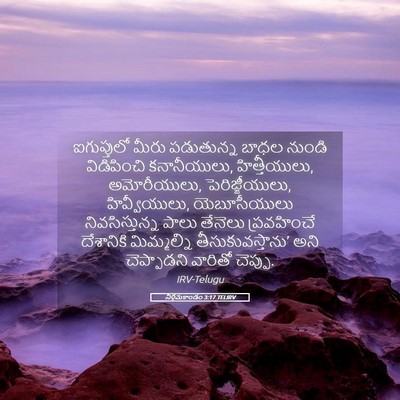 Picture 05 - నిర్గమకాండం 3:17 TELIRV - ఐగుప్తులో మీరు - Bible Verse Picture