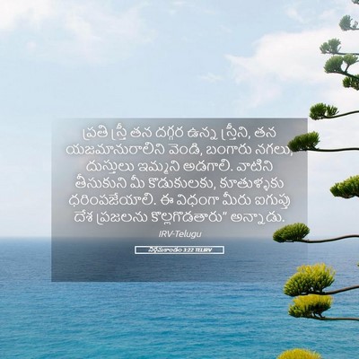Picture 05 - నిర్గమకాండం 3:22 TELIRV - ప్రతి స్త్రీ తన - Bible Verse Picture