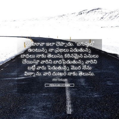 Picture 05 - నిర్గమకాండం 3:7 TELIRV - యెహోవా ఇలా - Bible Verse Picture