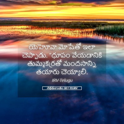 Picture 05 - నిర్గమకాండం 30:1 TELIRV - యెహోవా మోషేతో ఇలా - Bible Verse Picture