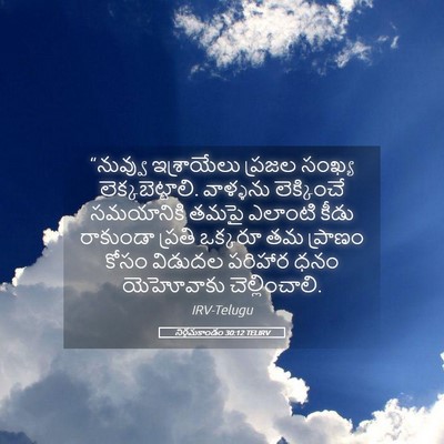 Picture 05 - నిర్గమకాండం 30:12 TELIRV - “నువ్వు ఇశ్రాయేలు - Bible Verse Picture