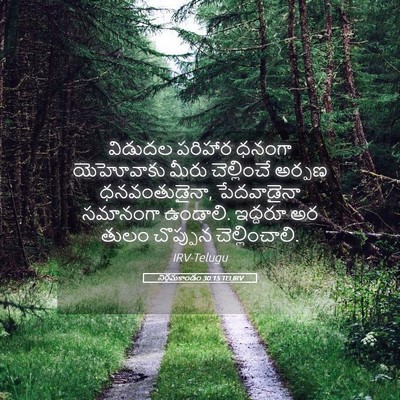 Picture 05 - నిర్గమకాండం 30:15 TELIRV - విడుదల పరిహార - Bible Verse Picture