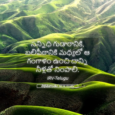 Picture 05 - నిర్గమకాండం 30:18 TELIRV - సన్నిధి - Bible Verse Picture