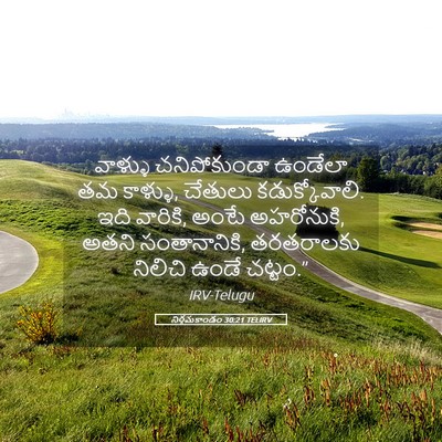 Picture 05 - నిర్గమకాండం 30:21 TELIRV - వాళ్ళు చనిపోకుండా - Bible Verse Picture