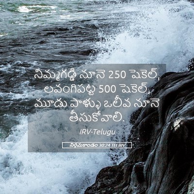 Picture 05 - నిర్గమకాండం 30:24 TELIRV - నిమ్మగడ్డి నూనె 250 - Bible Verse Picture