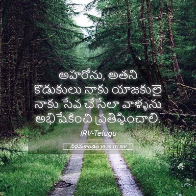 Picture 05 - నిర్గమకాండం 30:30 TELIRV - అహరోను, అతని - Bible Verse Picture