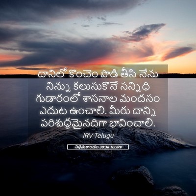 Picture 05 - నిర్గమకాండం 30:36 TELIRV - దానిలో కొంచెం - Bible Verse Picture