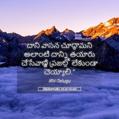 Picture 05 - నిర్గమకాండం 30:38 TELIRV - దాని వాసన - Bible Verse Picture