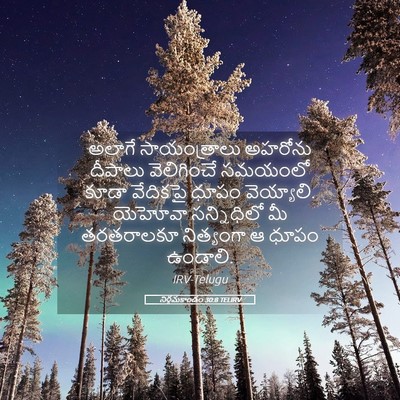 Picture 05 - నిర్గమకాండం 30:8 TELIRV - అలాగే సాయంత్రాలు - Bible Verse Picture