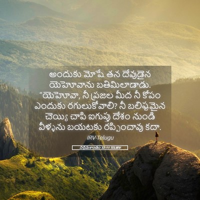 Picture 05 - నిర్గమకాండం 32:11 TELIRV - అందుకు మోషే తన - Bible Verse Picture