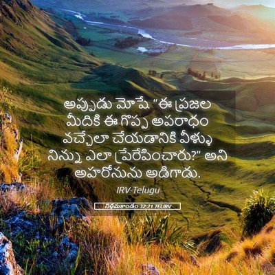 Picture 05 - నిర్గమకాండం 32:21 TELIRV - అప్పుడు మోషే “ఈ - Bible Verse Picture