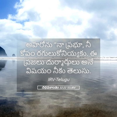 Picture 05 - నిర్గమకాండం 32:22 TELIRV - అహరోను “నా ప్రభూ, - Bible Verse Picture