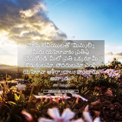 Picture 05 - నిర్గమకాండం 32:29 TELIRV - మోషే లేవీయులతో - Bible Verse Picture