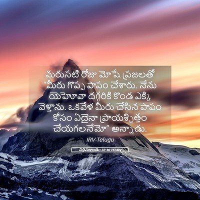 Picture 05 - నిర్గమకాండం 32:30 TELIRV - మరుసటి రోజు మోషే - Bible Verse Picture